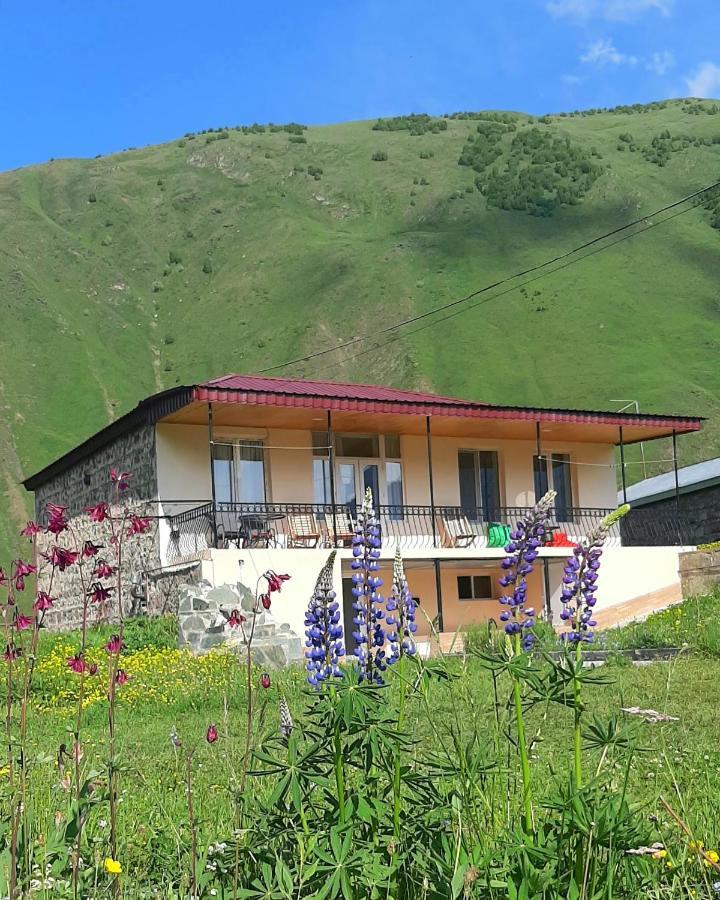 Cozy Hotel Kazbegi エクステリア 写真